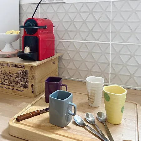 L'ecrin Condomois, Charmante Maison Classee 3 Etoiles *